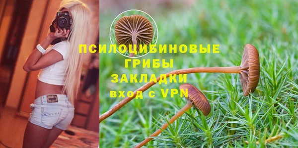 круглые Переславль-Залесский