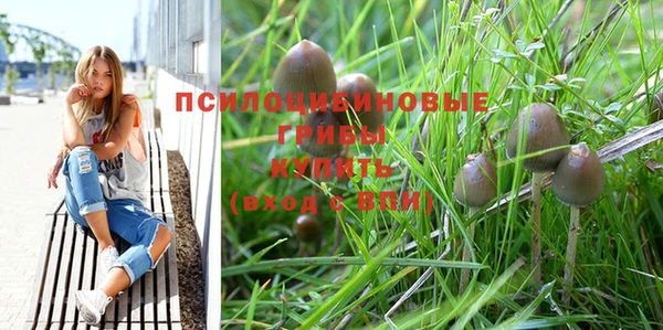 круглые Переславль-Залесский