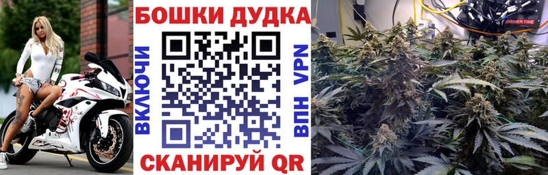 Бошки Шишки AK-47  Шацк 